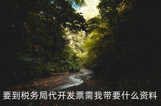 去稅務(wù)局開票需要帶什么資料，去稅務(wù)局開票的話需要帶什么材料呢
