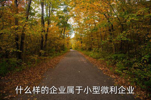 小型微利企業(yè)是什么意思，小型微利企業(yè)是怎么規(guī)定的
