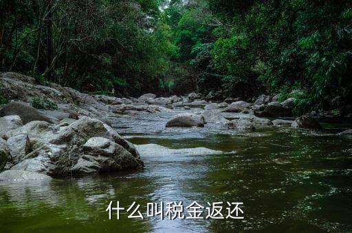 稅收退還的協(xié)議叫什么，什么是稅費(fèi)返還
