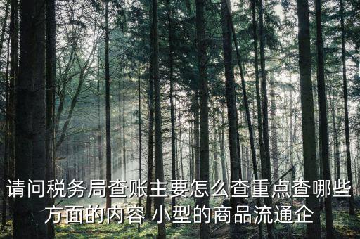 重點稅源稅務(wù)局看什么，稅務(wù)局主要看報表的什么
