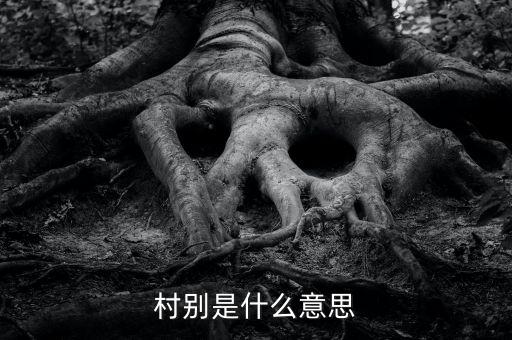 稅務(wù)所村審是什么意思，村別是什么意思