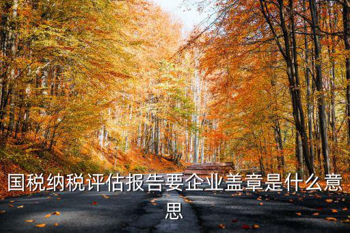國稅納稅評估報(bào)告要企業(yè)蓋章是什么意思
