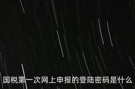 國稅的登錄密碼是什么，國稅第一次網(wǎng)上申報的登陸密碼是什么