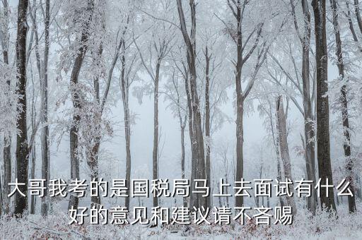 大哥我考的是國(guó)稅局馬上去面試有什么好的意見和建議請(qǐng)不吝賜