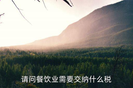 餐飲業(yè) 公司 交什么稅，餐飲企業(yè)繳納哪些稅