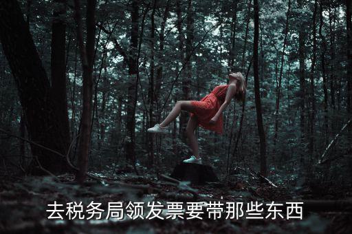 國稅領(lǐng)取發(fā)票需要帶什么，去國稅局領(lǐng)發(fā)票要帶什么