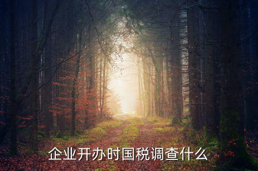國(guó)稅稅收調(diào)查調(diào)查什么，國(guó)稅三稅調(diào)查是指哪三稅
