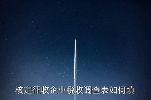 什么企業(yè)填稅收調(diào)查表，核定征收企業(yè)稅收調(diào)查表如何填