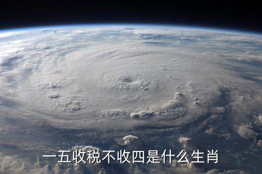 什么生肖要打稅，稅意新榮打一生肖