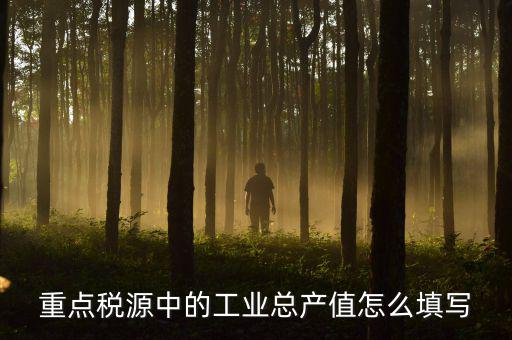 重點(diǎn)稅源中的工業(yè)總產(chǎn)值怎么填寫(xiě)