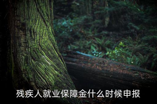 殘疾人保障金什么時(shí)候，殘疾人就業(yè)保障金怎么交什么時(shí)侯交會(huì)計(jì)分錄