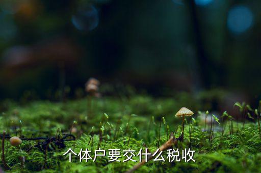 個(gè)體商戶納什么稅，個(gè)體戶要交什么稅收