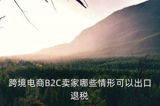 什么情況下要退稅，跨境電商B2C賣家哪些情形可以出口退稅