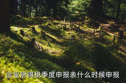 季度稅是在什么時候報，年度季度企業(yè)所得稅申報時間