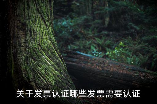 發(fā)票通過什么認證嗎，關(guān)于發(fā)票認證哪些發(fā)票需要認證