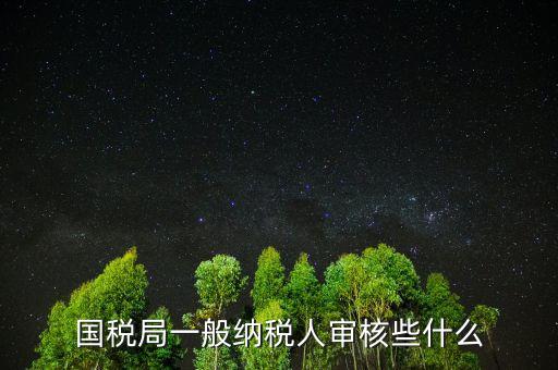 國稅審查企業(yè)些什么，國稅局一般納稅人審核些什么