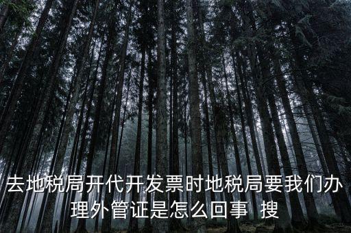 為什么要開電子外管證，像您咨詢一下關(guān)于外管證的事宜我前一陣開了外管證您說是避免