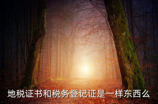 地稅登記證是什么，地方稅納稅資料封面上稅務登記證號是甚么