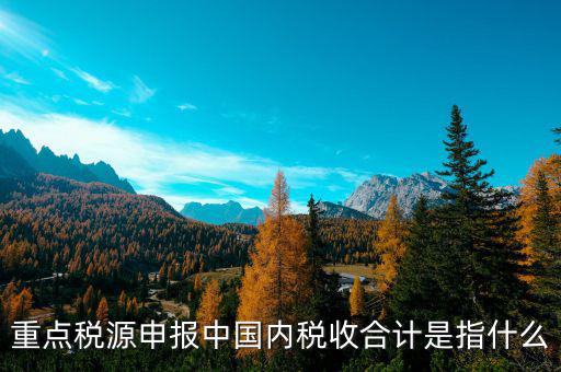 月核定稅額合計是什么，價稅合計是什么意思呢