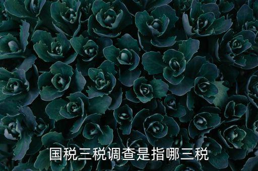 全國(guó)稅收調(diào)查是什么，全國(guó)稅收調(diào)查表中審核公式IFXXBB8 1 XXBB8 4