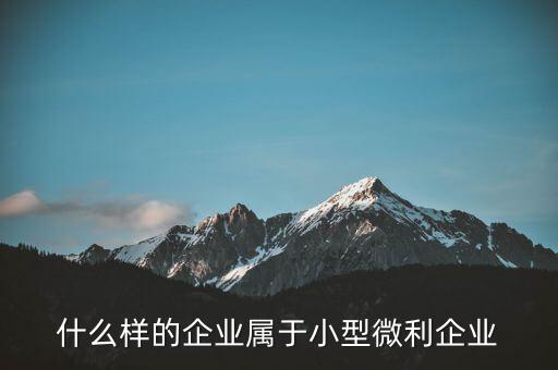 什么企業(yè)算小微企業(yè)，由什么部門來核準(zhǔn)企業(yè)屬于小微企業(yè)