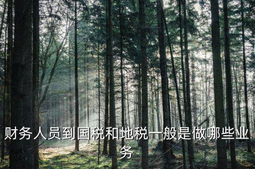 國稅地稅有什么工作，地稅工作人員有哪些職務(wù)