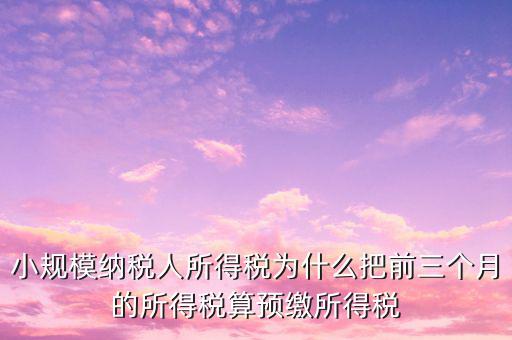 為什么會(huì)有預(yù)繳所得稅，我企業(yè)是今年1月被稅局核定按收入繳納企業(yè)所得稅 為什么第一季度報(bào)