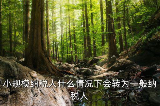 小規(guī)模納稅人什么情況下會(huì)轉(zhuǎn)為一般納稅人