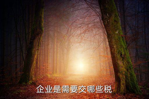 公司要交什么稅，企業(yè)是需要交哪些稅