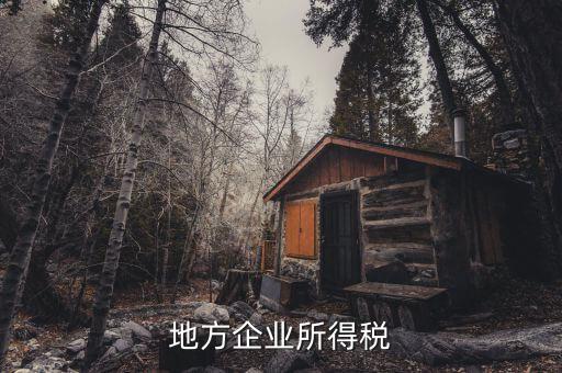 地方企業(yè)所得稅是什么，地方所得稅