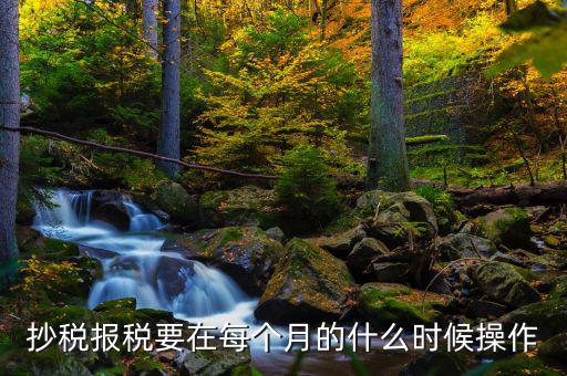 稅控盤什么時(shí)候抄報(bào)，抄稅報(bào)稅要在每個(gè)月的什么時(shí)候操作