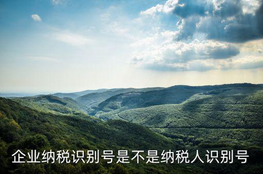 公司納稅識(shí)別號(hào)是什么，納稅人識(shí)別號(hào)是什么
