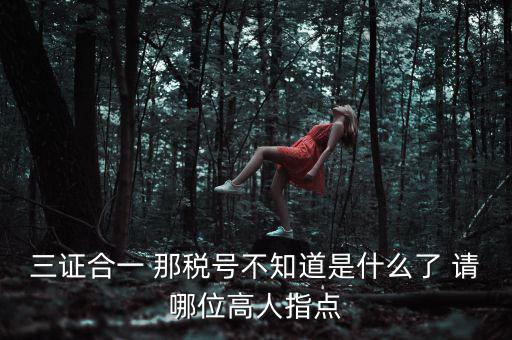 三證合一后的發(fā)票稅號(hào)是什么意思，三證合一 那稅號(hào)不知道是什么了 請(qǐng)哪位高人指點(diǎn)
