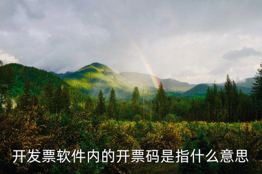 手工發(fā)票代碼什么意思，請(qǐng)問(wèn)我發(fā)票代碼第8位9位分別是BK是什么意思