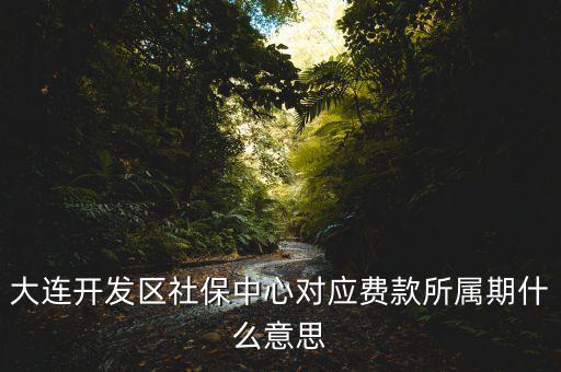 社保所屬期是什么意思，大連開發(fā)區(qū)社保中心對應(yīng)費(fèi)款所屬期什么意思