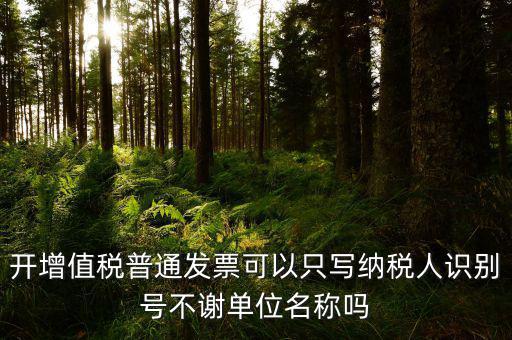 開(kāi)增值稅普通發(fā)票可以只寫(xiě)納稅人識(shí)別號(hào)不謝單位名稱(chēng)嗎