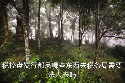 辦理稅控盤去什么地方，稅控盤發(fā)行都呆哪些東西去稅務(wù)局需要法人去嗎