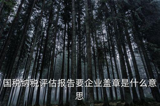 稅務國別報告是什么意思，國稅納稅評估報告要企業(yè)蓋章是什么意思
