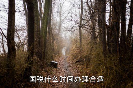 國(guó)稅局申請(qǐng)什么時(shí)候好，國(guó)稅什么時(shí)間辦理合適