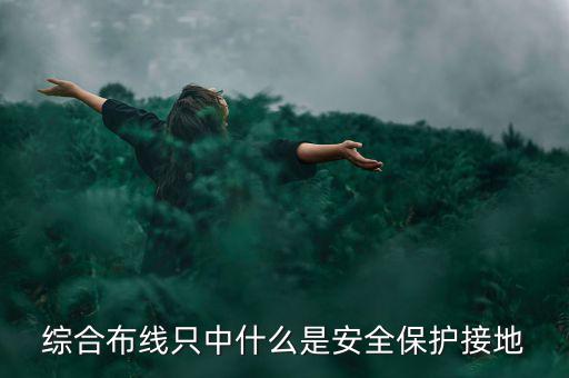 綜合布線(xiàn)只中什么是安全保護(hù)接地