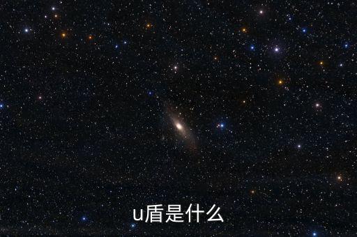 對(duì)外支付是什么，u盾是什么