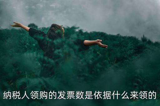 為什么領票人是納稅人，發(fā)票領購簿上的章子與納稅人名稱不一樣是怎么回事