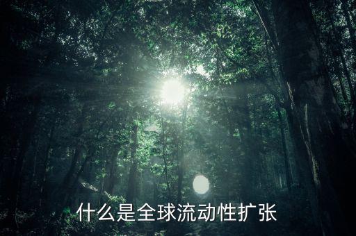 什么叫非居民風(fēng)險(xiǎn)，為什么歐洲央行負(fù)債資金來(lái)源于非居民