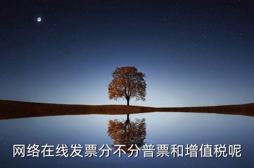 在線發(fā)票是什么，網(wǎng)絡(luò)在線發(fā)票分不分普票和增值稅呢