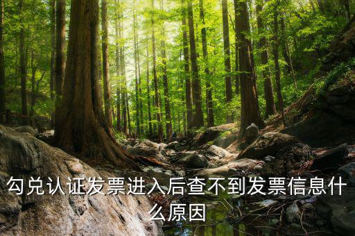 發(fā)票查詢?yōu)槭裁床椴坏叫畔?，發(fā)票開了稅務(wù)局上查不到信息是怎么回事