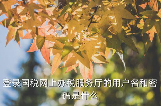 江蘇國稅電子稅務(wù)局登錄用戶名是什么，江蘇國稅網(wǎng)上辦稅服務(wù)廳的用戶名是什么