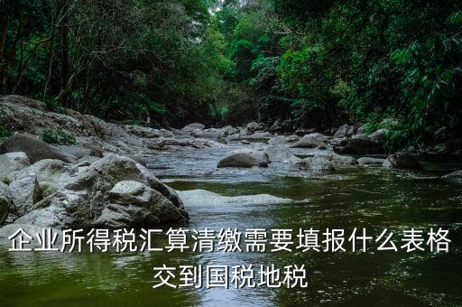 匯算清繳填寫什么表格，請(qǐng)教關(guān)于企業(yè)所得稅匯算清繳中需要填寫的表格的一些問題