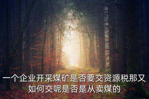 煤在什么環(huán)節(jié)征資源稅，煤礦資源稅稅率
