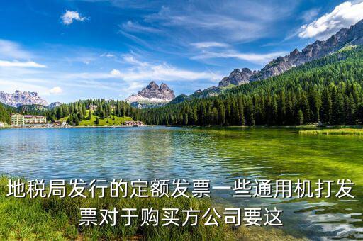 地稅局發(fā)行的定額發(fā)票一些通用機(jī)打發(fā)票對(duì)于購(gòu)買方公司要這
