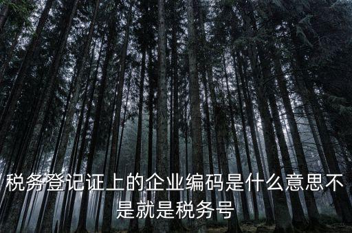 稅務(wù)編碼是什么意思，稅務(wù)登記證上的企業(yè)編碼是什么意思不是就是稅務(wù)號